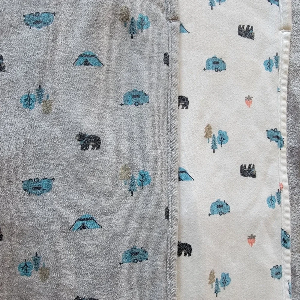Bundle 2-Carter's Burp Cloths Kids OS Grey White Good Camping Bear Tent 702